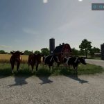 placeable cow fs22 v1.0 fs22 3