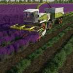 claas lavender header bar v1.0 fs22 1