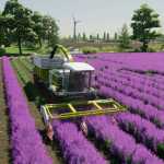 lavender in rows 28prefab 29 v1.0 fs22 1