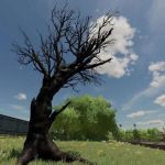 dead trees v1.0 fs22 3