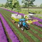 lavender in rows 28prefab 29 v1.0.0.1 fs22 1