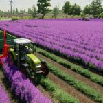 lavender in rows 28prefab 29 v1.0.0.1 fs22 2