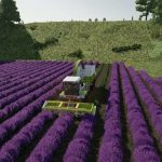 lavender in rows 28prefab 29 v1.0.0.1 fs22 4