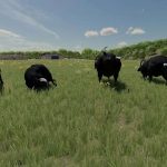 placeable bulls v1.0 fs22 3