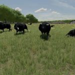 placeable bulls v1.0 fs22 4