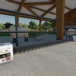 salt lick blocks v1.1 fs22 4