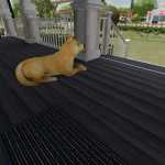 shiba inu doge coin dog v1.0 fs22 1