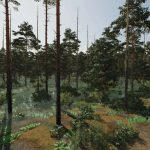 the mythical woods v1.0.0.1 fs22 5