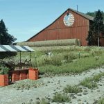 anomaly farms rcr 28public beta 29 v1.0 fs22 1