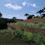 fazenda pinheiros v1.0 fs22 3