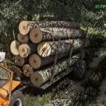 romanian wood trailer v1.0 fs22 1