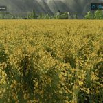 bees revamp v1.1.0.1 fs22 3