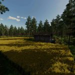 pohjaforest map v1.0 fs22 3